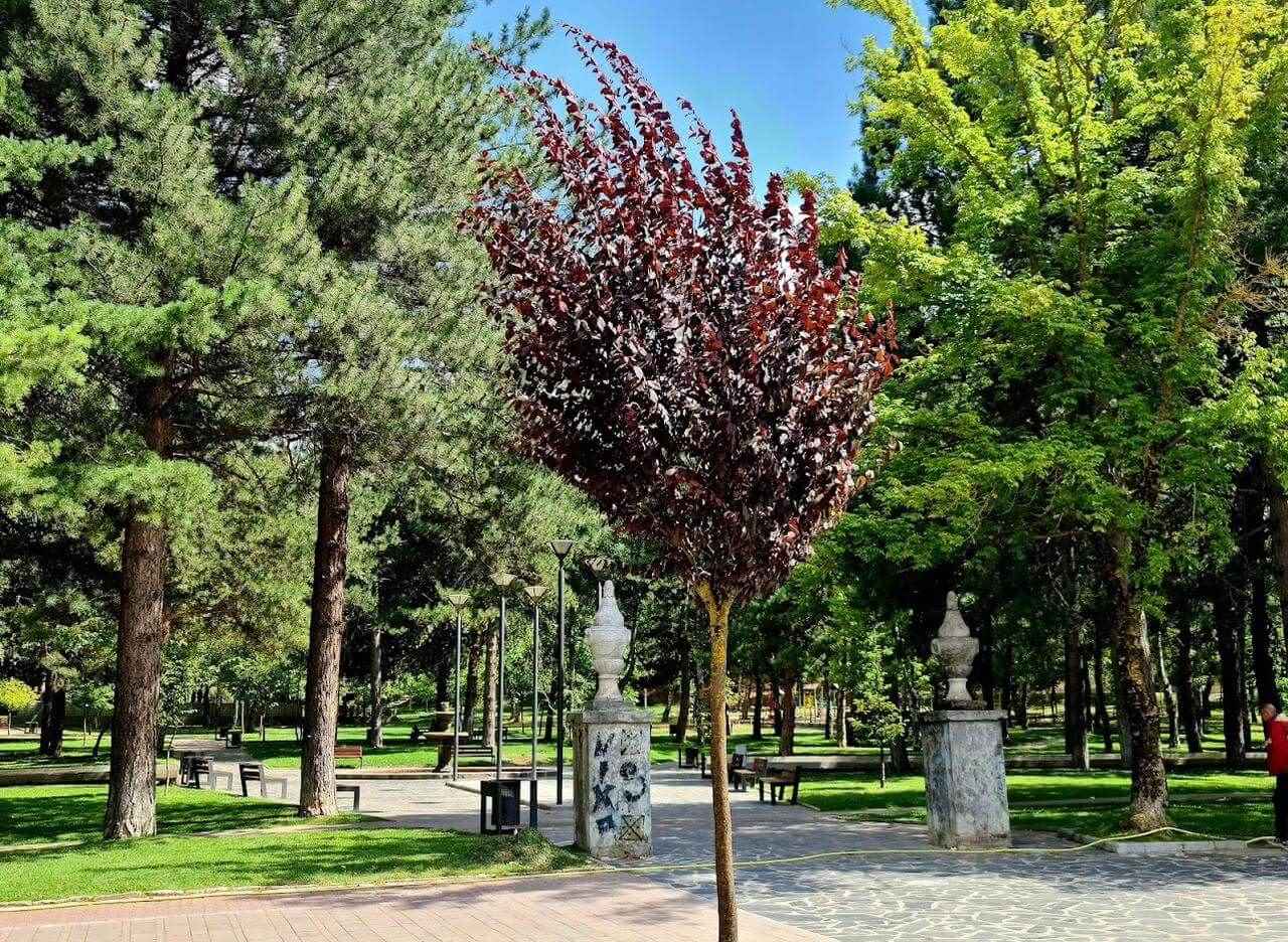 Parku Rinia, Korçë 